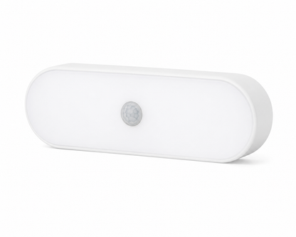 Motion Sensor Light